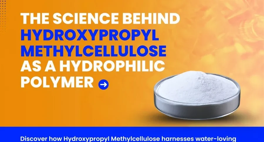 Hydroxypropyl Methylcellulose as a Hydrophilic Polymer
