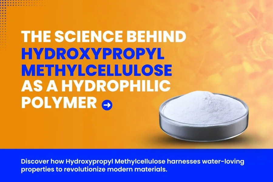 Hydroxypropyl Methylcellulose as a Hydrophilic Polymer