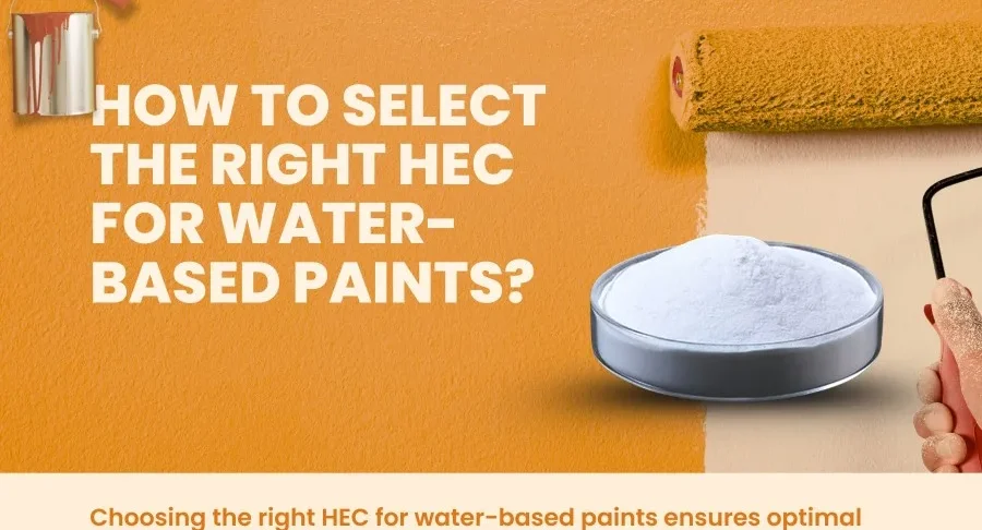 How to Select the Right HEC for Water Based Paints