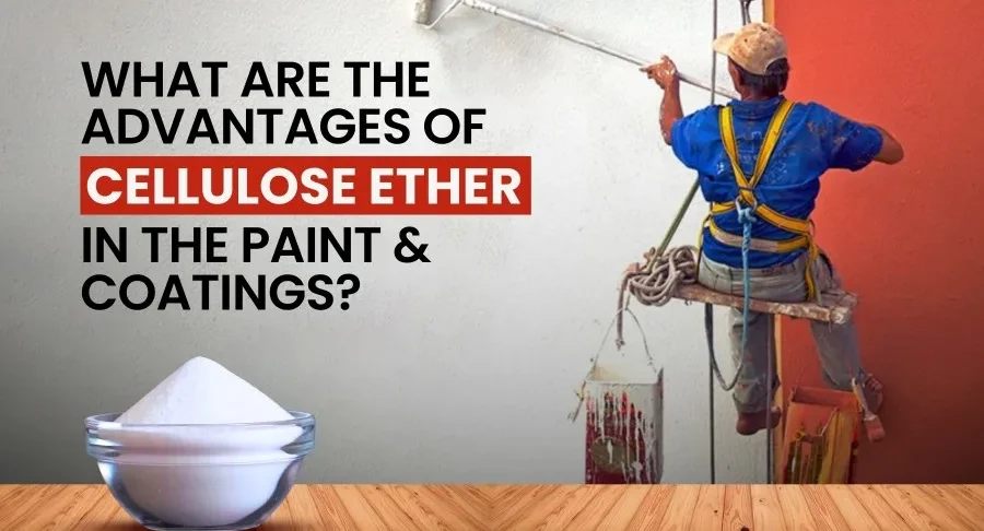 Advantages of cellulose ether in the Paint & Coatings