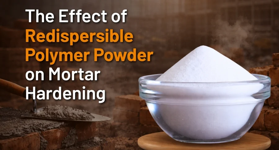 Redispersible Polymer Powder on Mortar Hardening